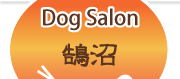 Dog Salon 