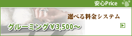 選べる料金システムシャンプー&ドライ¥2,000〜
